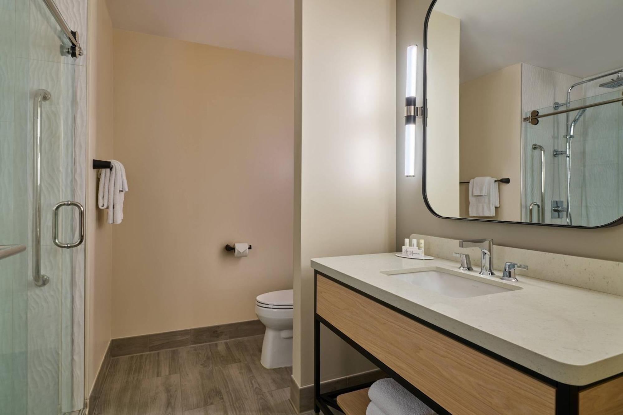 Larger One-Bedroom King Suite with City View, Dining Area and Sofa Bed