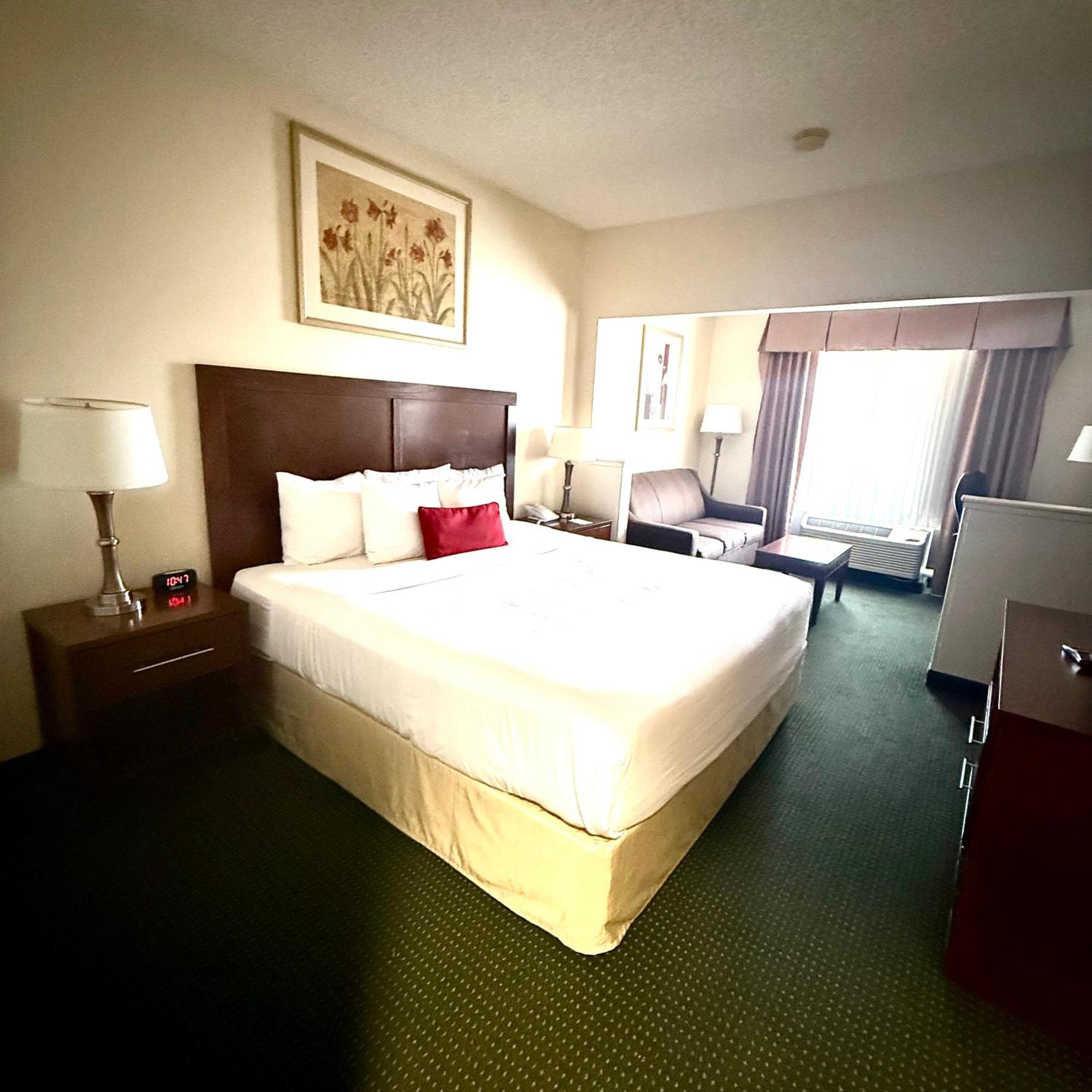 Suite - Disability Access/Non-Smoking