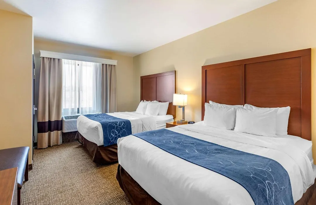 Comfort Suites Near Denver Downtown-1