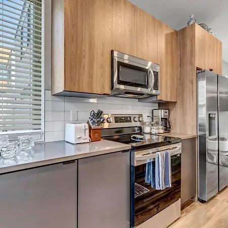 Broncos Stadium Townhome Downtown Denver-2