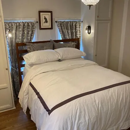 Pineapple House, Spacious 1St Floor Apartment! City Center! 96 Walk Score! Free Parking!-3