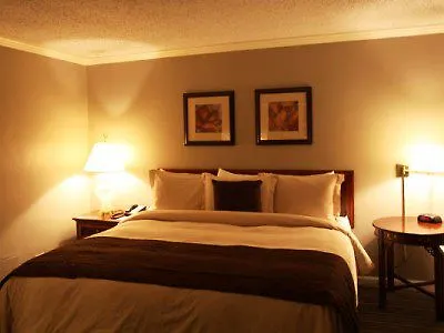 The Burnsley All Suite Hotel-2