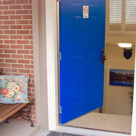 Denver Blue Bear Den 3Br 2Ba & Spa-3